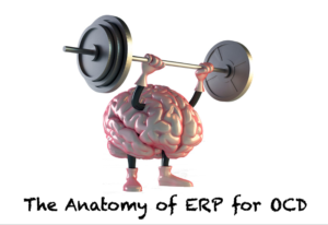 The Anatomy of ERP for OCD