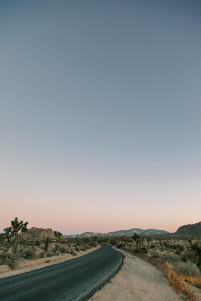 Where to go next with your OCD recovery journey